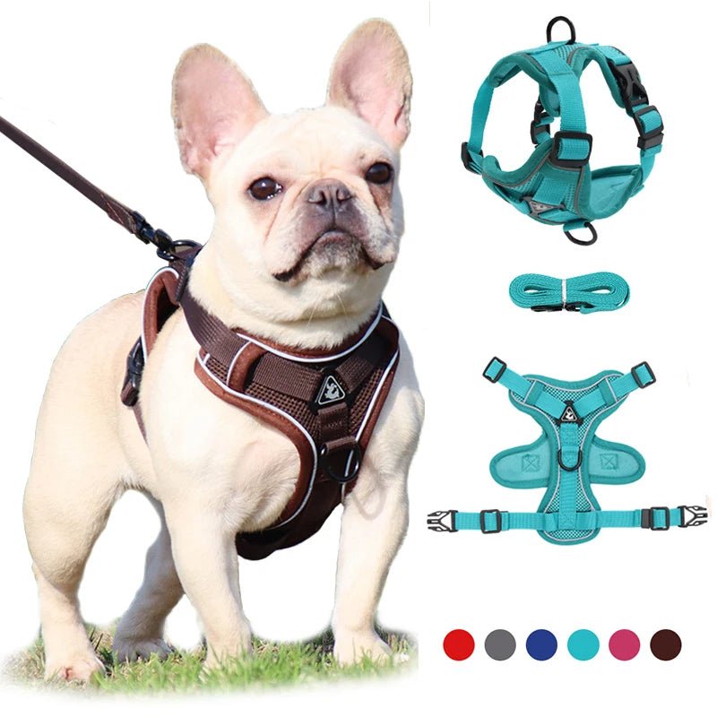 Adjustable Pet Harness Vest For Small Dogs Cats - Valitic Auto Store