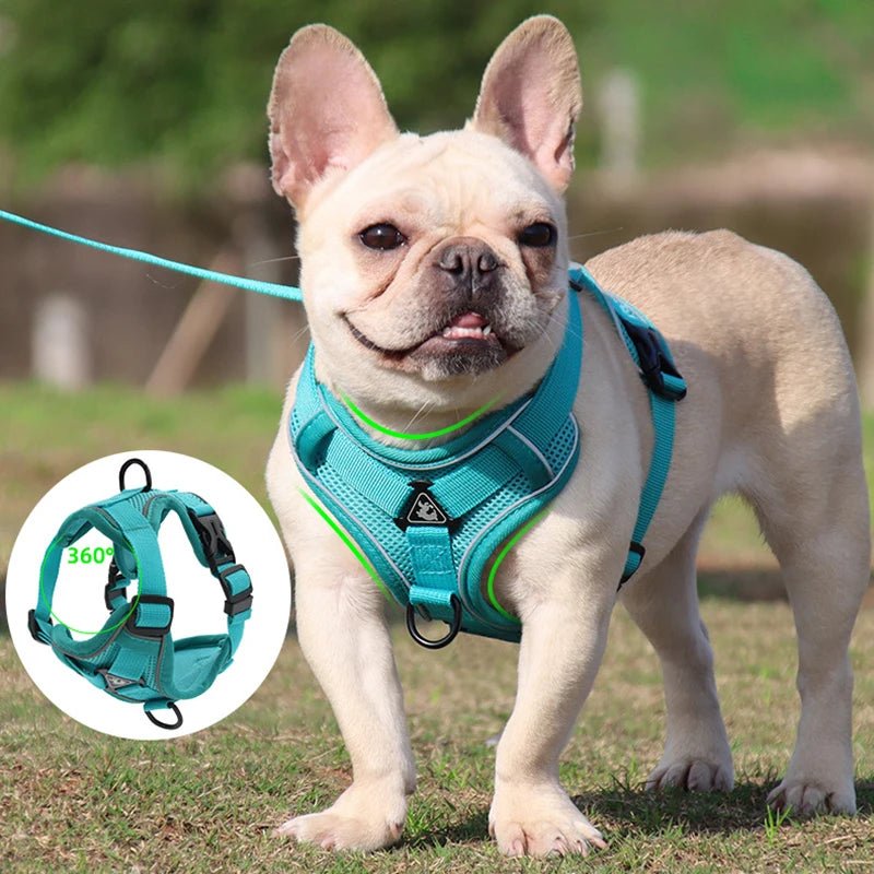 Adjustable Pet Harness Vest For Small Dogs Cats - Valitic Auto Store