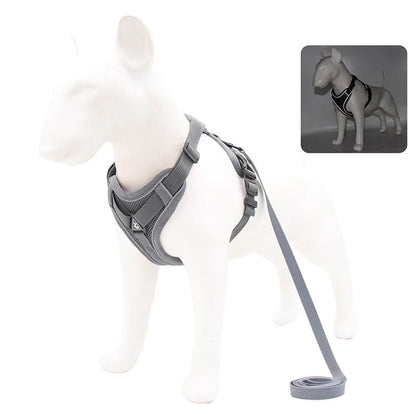 Adjustable Pet Harness Vest - Valitic Pets