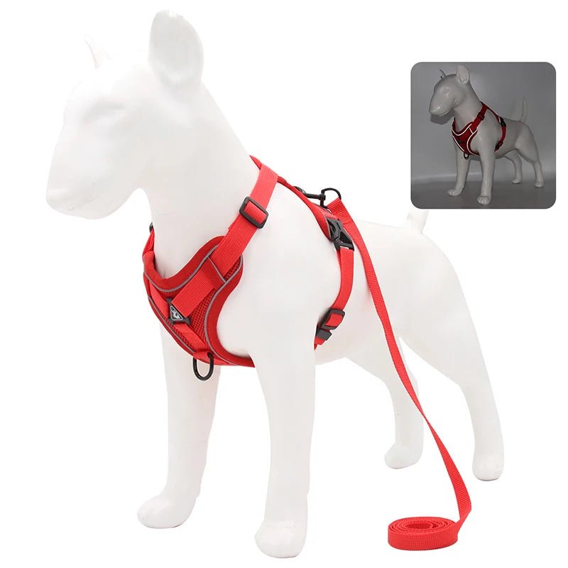 Adjustable Pet Harness Vest For Small Dogs Cats - Valitic Auto Store