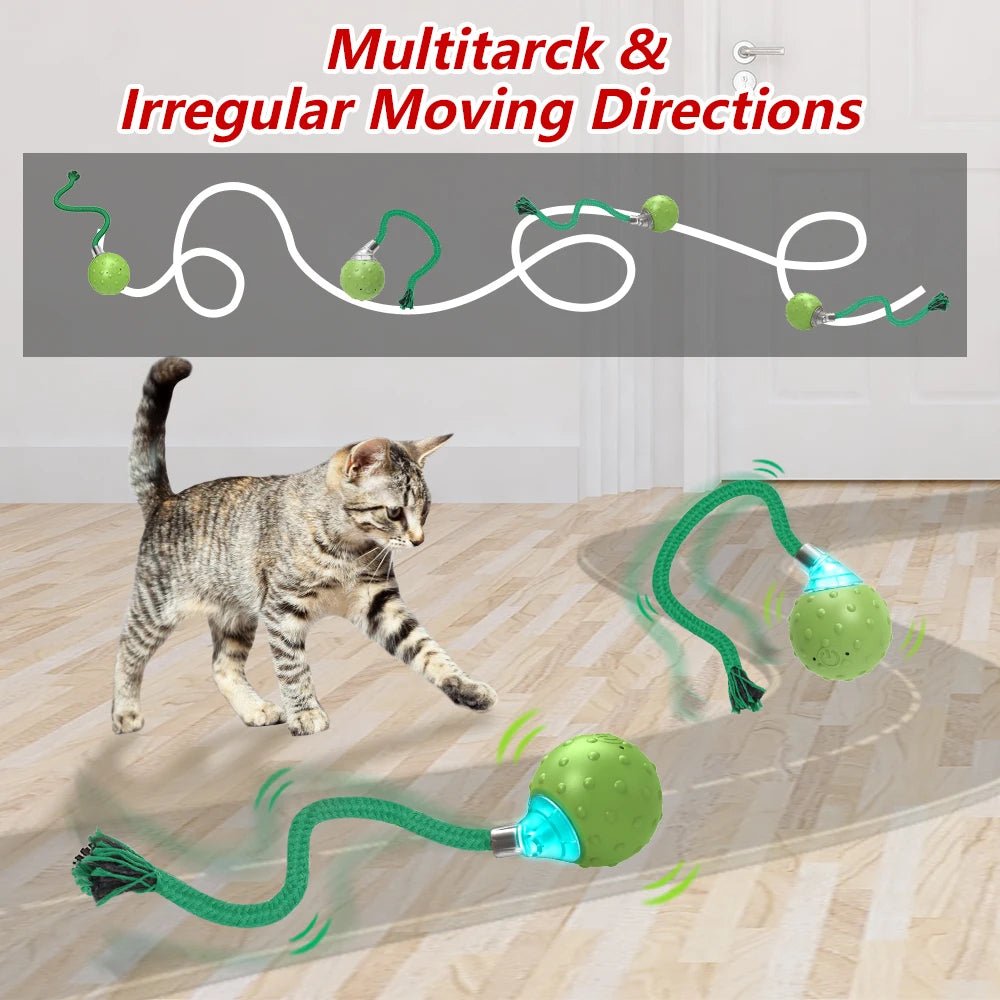 Automatic Moving Ball Toy - Valitic Pets