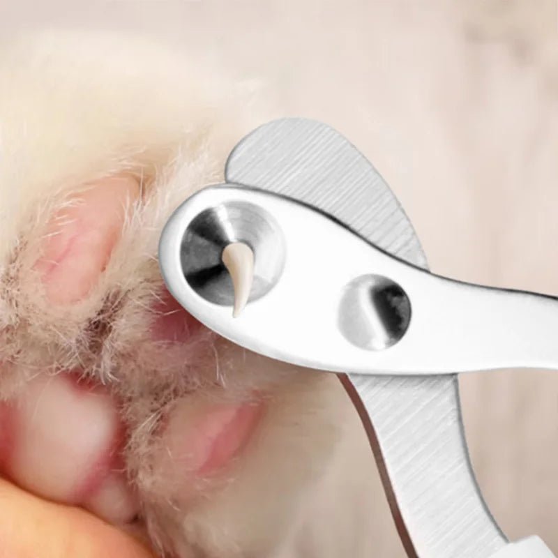 Cat Nail Clipper Scissor - Valitic Pets