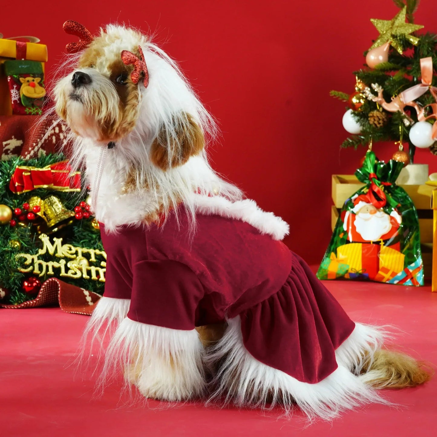 Christmas Pet Dog and Cat Clothes Santa Claus Into A Long Hair Funny Party Costume Hat Suit - Valitic Pets