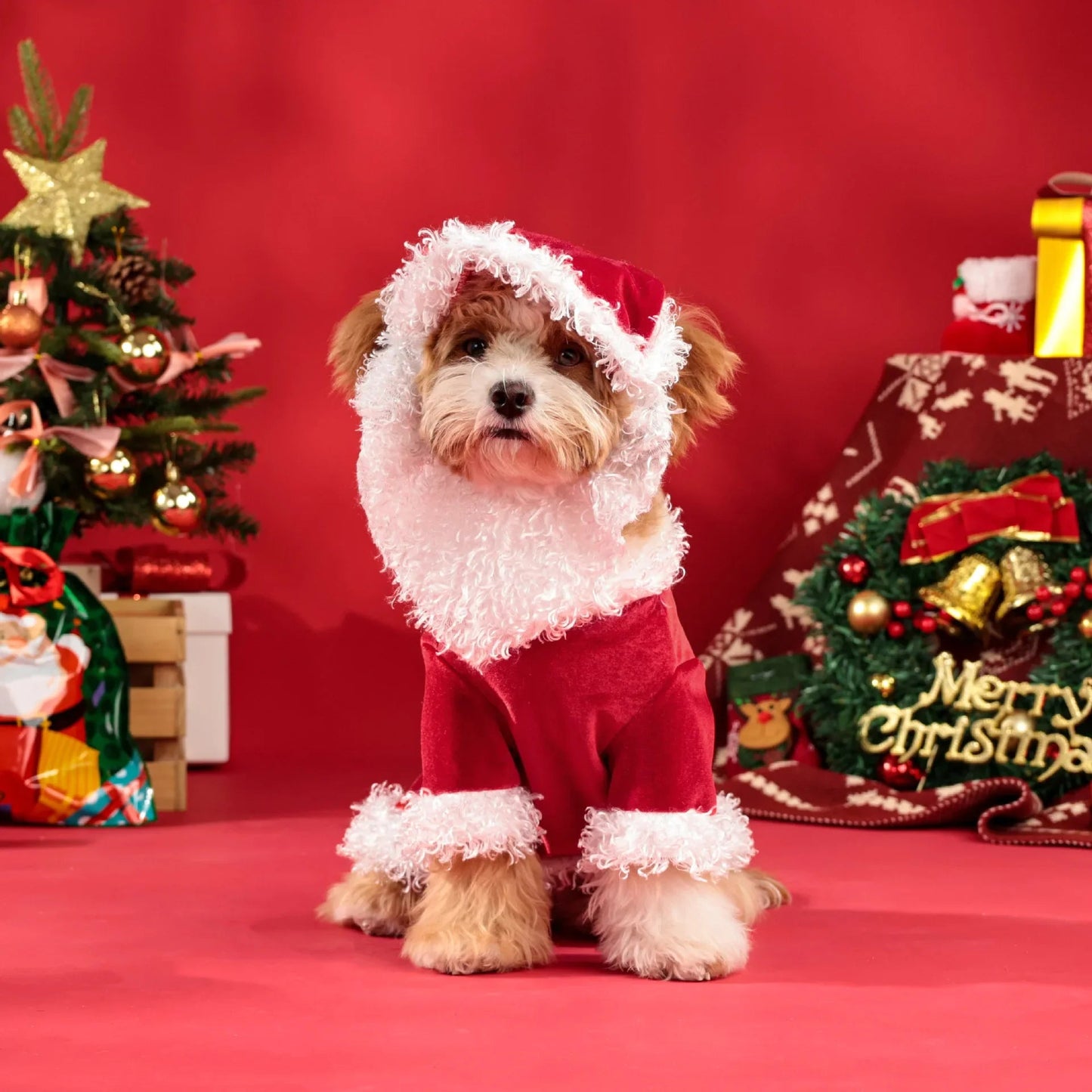 Christmas Pet Dog and Cat Clothes Santa Claus Into A Long Hair Funny Party Costume Hat Suit - Valitic Pets