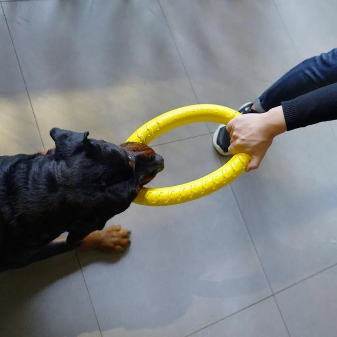 Dog Chewing Ring Toys - Valitic Pets