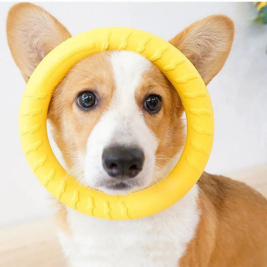 Dog Chewing Ring Toys - Valitic Pets