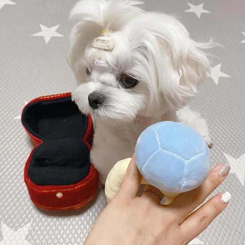 Dog Toy Diamond Ring Box - Valitic Pets