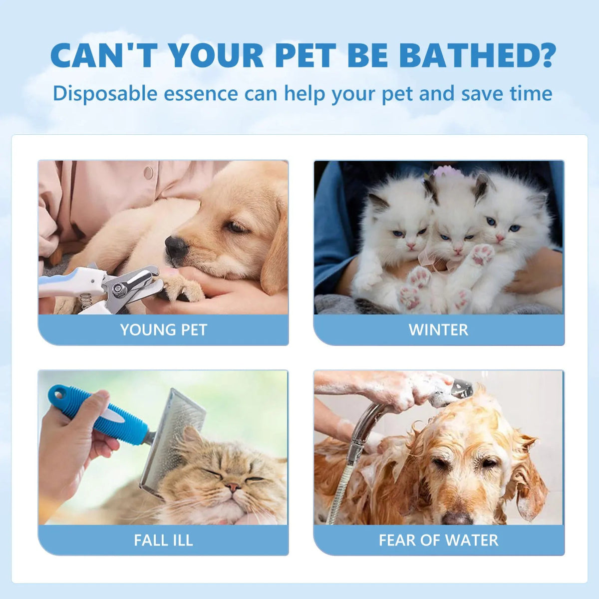 Essential Dog Grooming - Valitic Pets