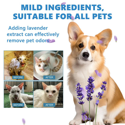 Essential Dog Grooming - Valitic Pets