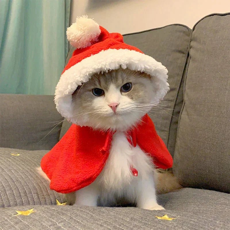 Funny Cat Christmas Costume Santa Cosplay Pet Christmas Cape Dress Up Clothes Warm Red Scarf Cloak With Hat Pet Accessories - Valitic Pets