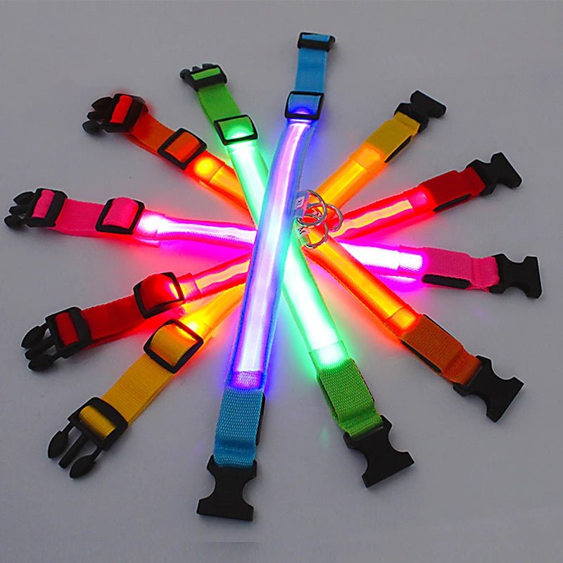 LED Dog Collar - Valitic Pets