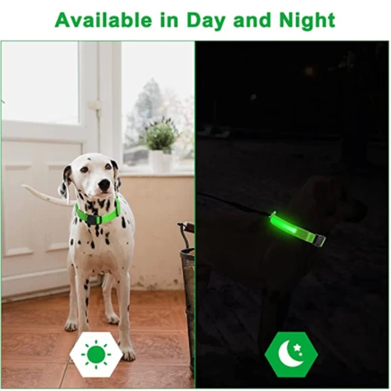 LED Dog Collar - Valitic Pets