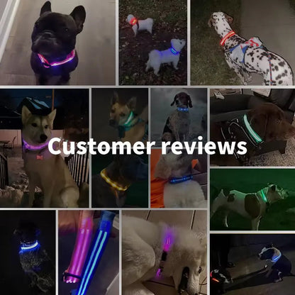 LED Dog Collar - Valitic Pets