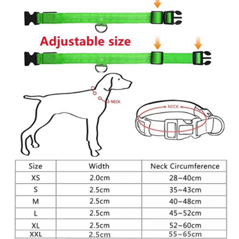 LED Dog Collar - Valitic Pets