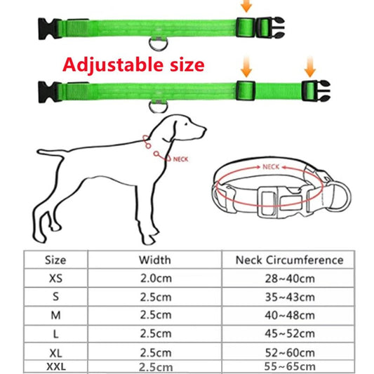 LED Dog Collar - Valitic Pets