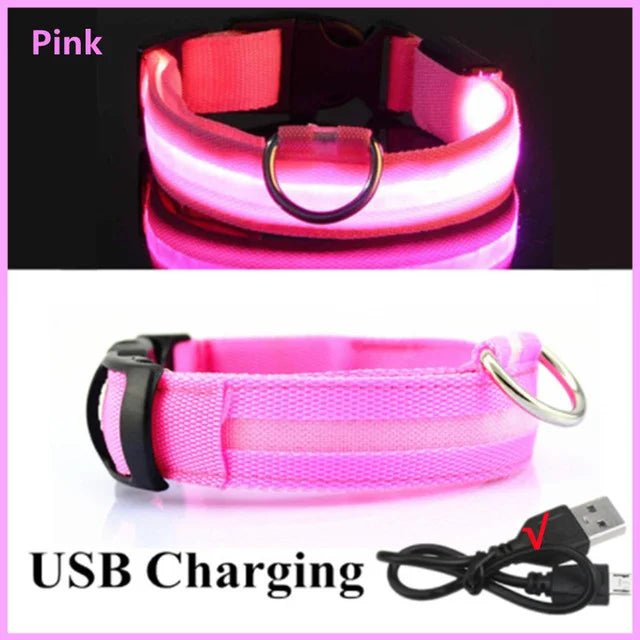 LED Dog Collar - Valitic Pets