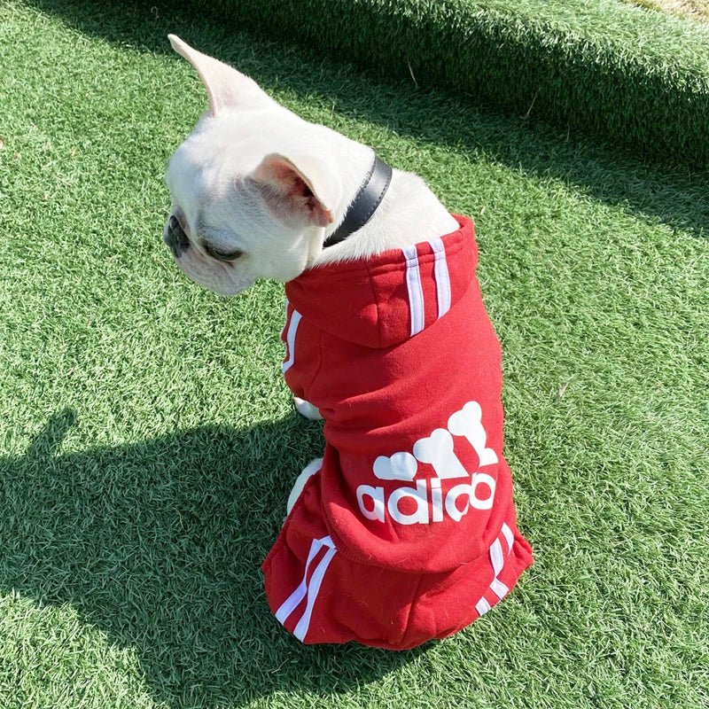 Luxury Dog Sweater - Valitic Pets