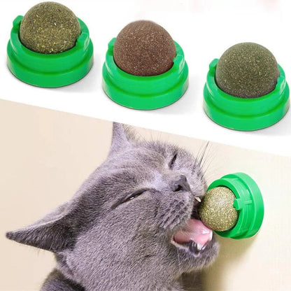 Natural Catnip Cat Wall Stick-on Ball Toy Scratchers Treats Healthy Natural Removes Balls to Promote Digestion Cat Grass Snack - Valitic Pets