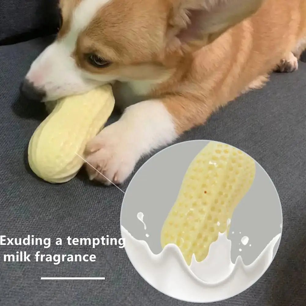 Peanut Dog Toy - Valitic Pets