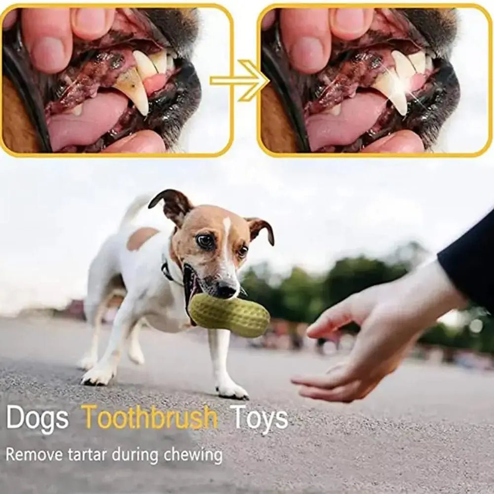 Peanut Dog Toy - Valitic Pets