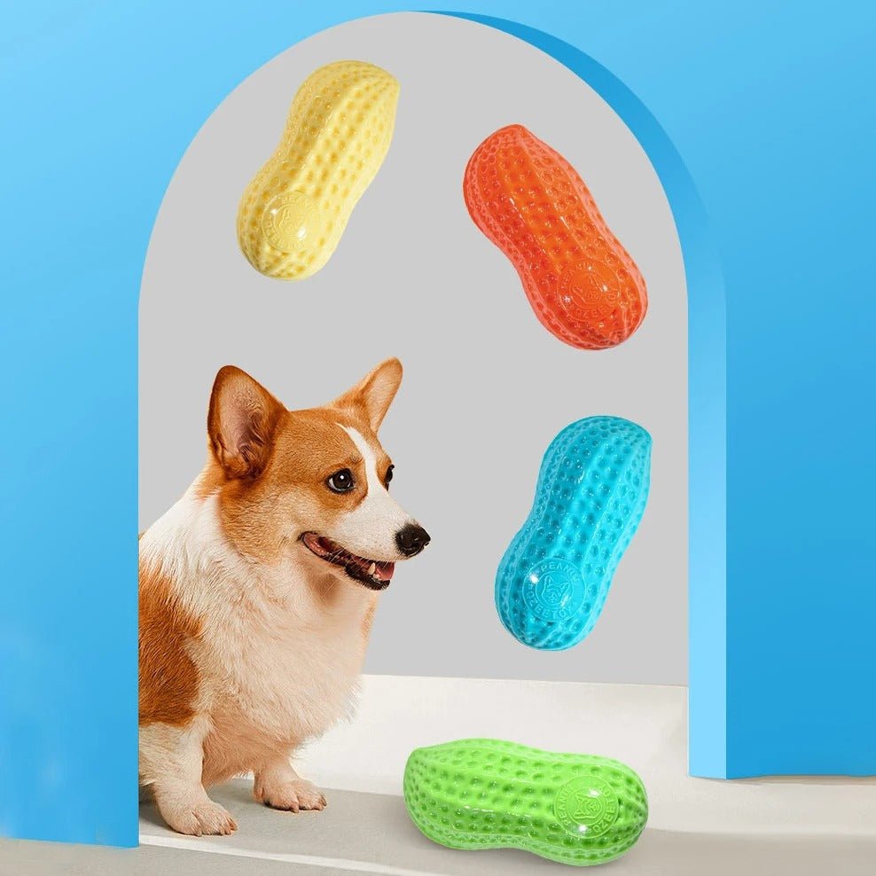 Peanut Dog Toy - Valitic Pets