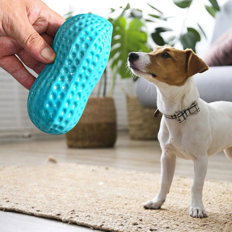 Peanut Dog Toy - Valitic Pets