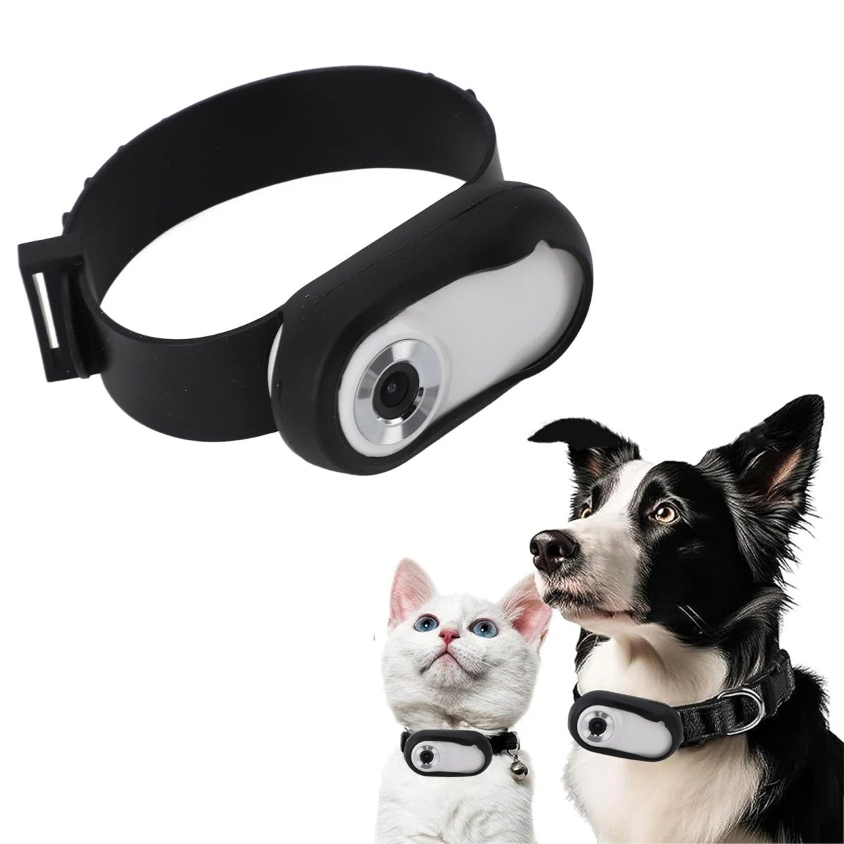 Pet Collar Camera - Valitic Pets