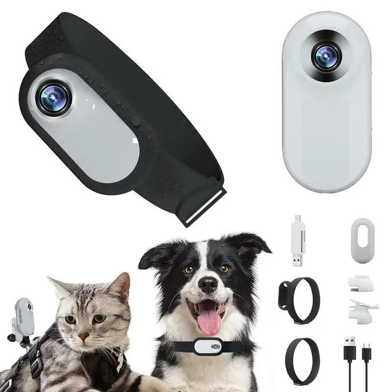 Pet Collar Camera - Valitic Pets