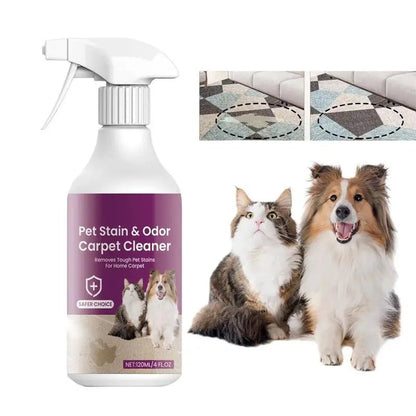 Pet Stain Odor Remover 120ml Stain Remover Spray Powerful Pet Stain Destroyer Safe Stain Remover Spray Effective For Carpet - Valitic Pets