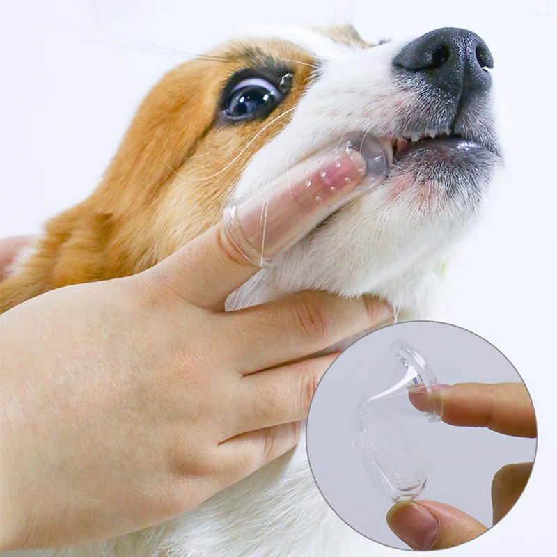 Pet Toothbrush - Valitic Pets