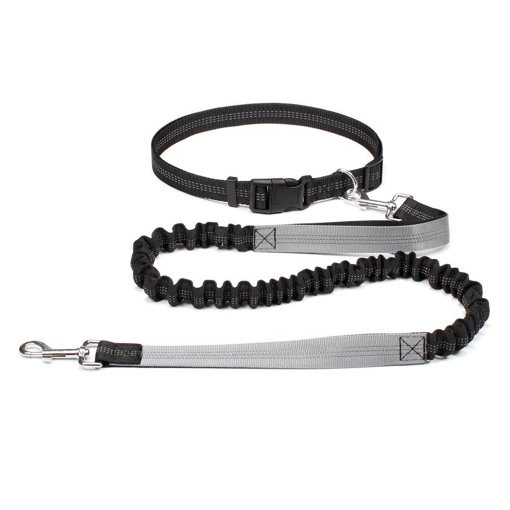 Running Jogging Leash - Valitic Pets