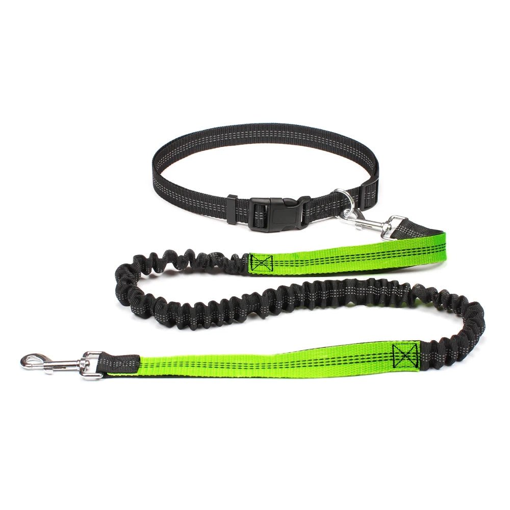 Running Jogging Leash - Valitic Pets