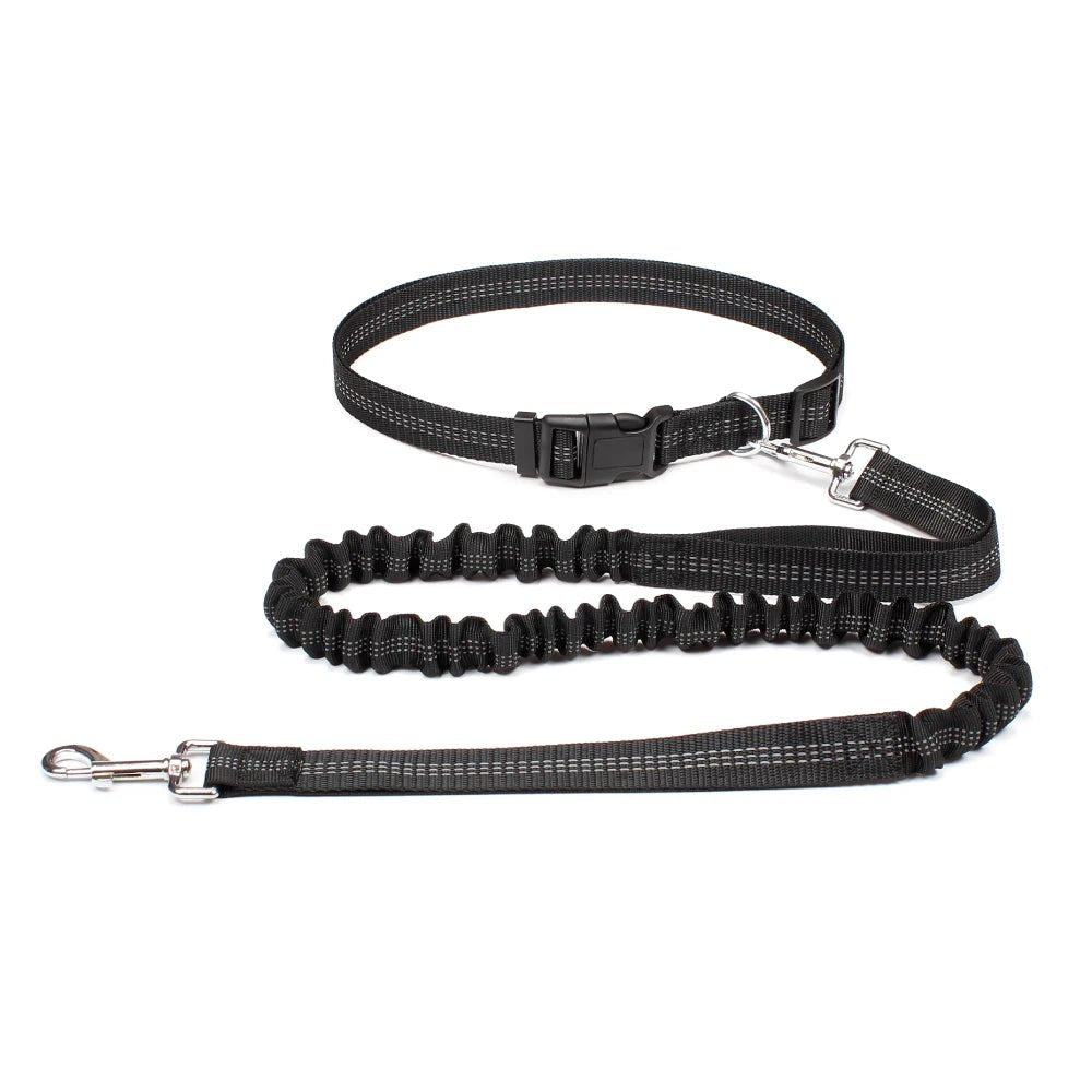 Running Jogging Leash - Valitic Pets