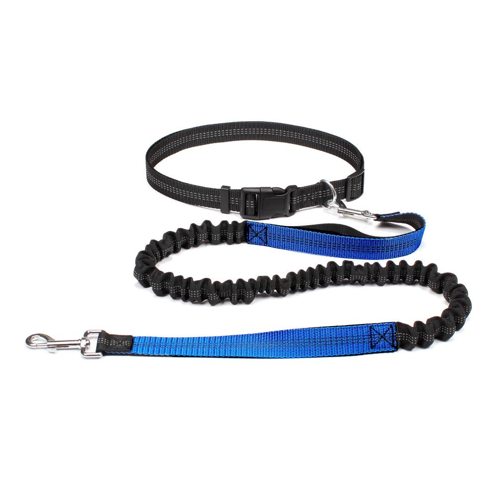 Running Jogging Leash - Valitic Pets