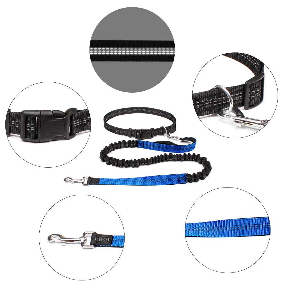 Running Jogging Leash - Valitic Pets