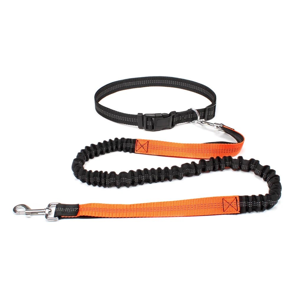 Running Jogging Leash - Valitic Pets