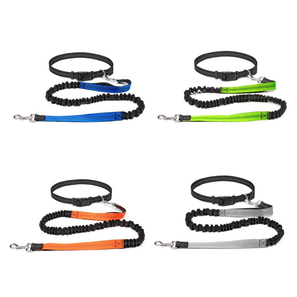 Running Jogging Leash - Valitic Pets