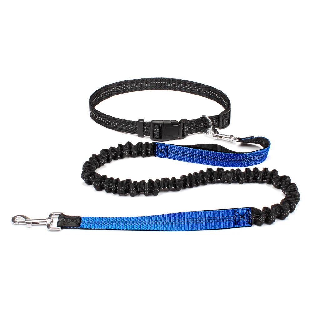 Running Jogging Leash - Valitic Pets