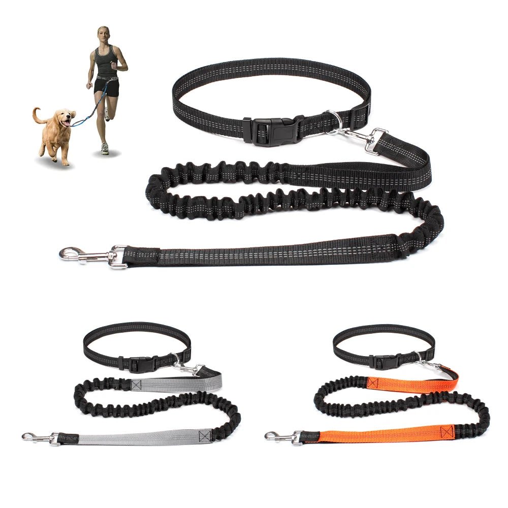 Running Jogging Leash - Valitic Pets