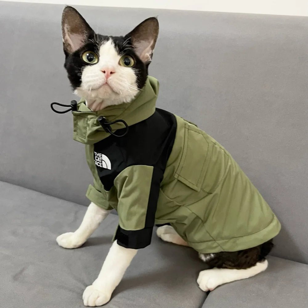 The Cat Face Print Jacket Cat Pet Clothing Trend Letter Outdoor Jacket for Cat Winter Warm Fashion Kitten Yorkshire Accessories - Valitic Pets