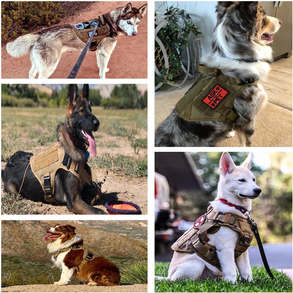 Training Vest Tactical Dog Harness - Valitic Auto Store