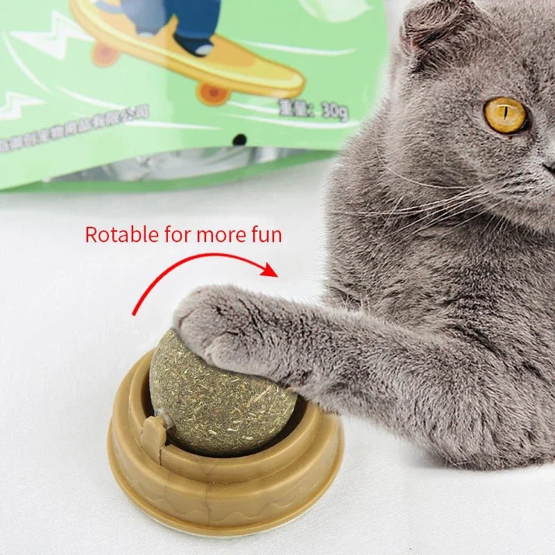 Wall-mounted Cat Toy - Valitic Pets