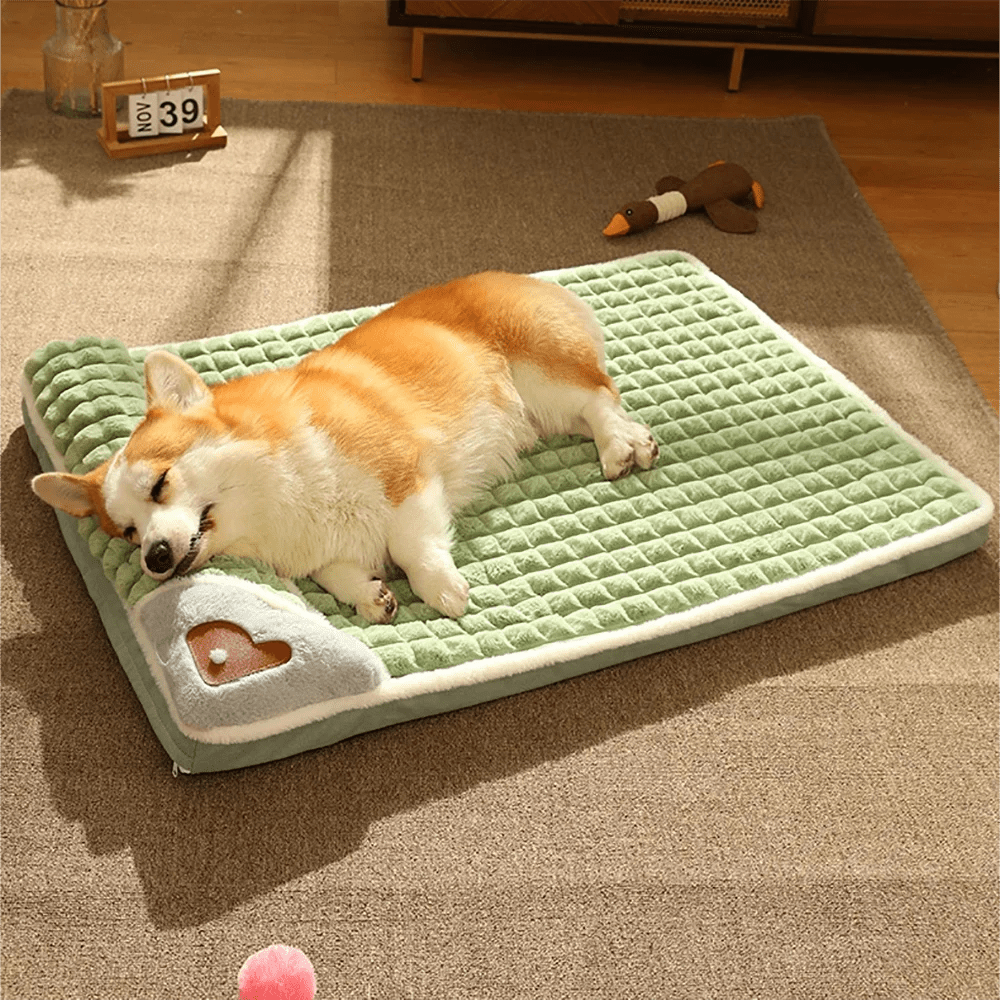 Washable Pet Beds - Valitic Pets