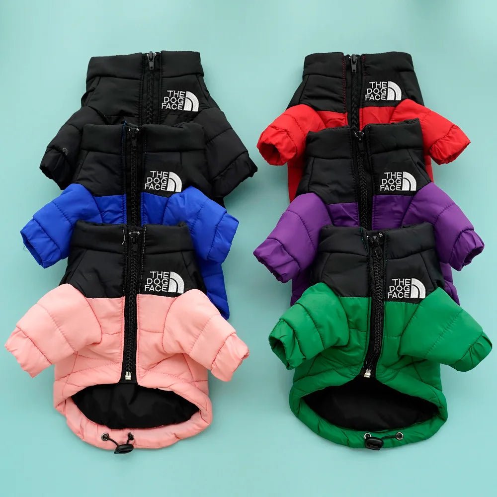 Winter Warm Cat Jacket for Medium Small Cats Cotton French Bulldog Dogs Winter Clothes Windproof Coat Puppy Pet Outfits - Valitic Pets