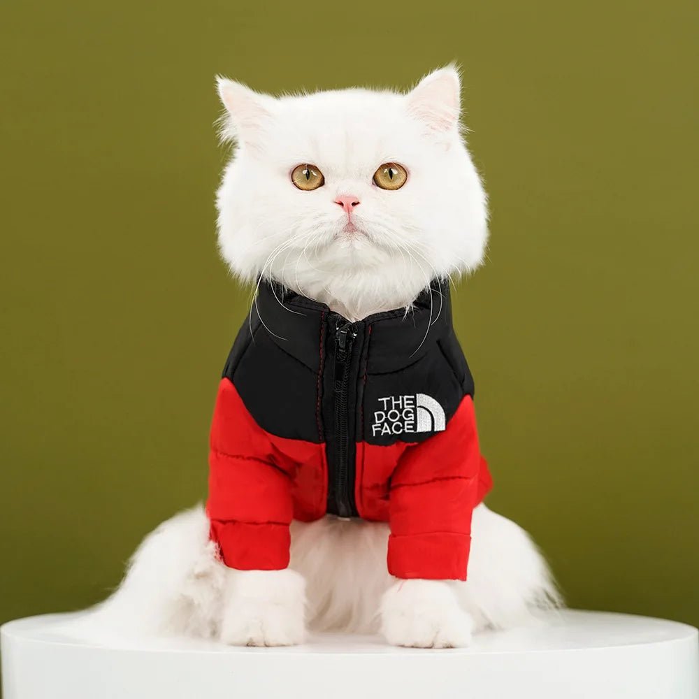 Winter Warm Cat Jacket for Medium Small Cats Cotton French Bulldog Dogs Winter Clothes Windproof Coat Puppy Pet Outfits - Valitic Pets