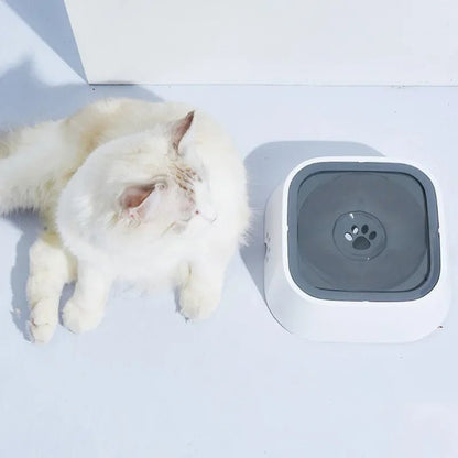 Dog Cat Drinking Water Bowls - Valitic Pets