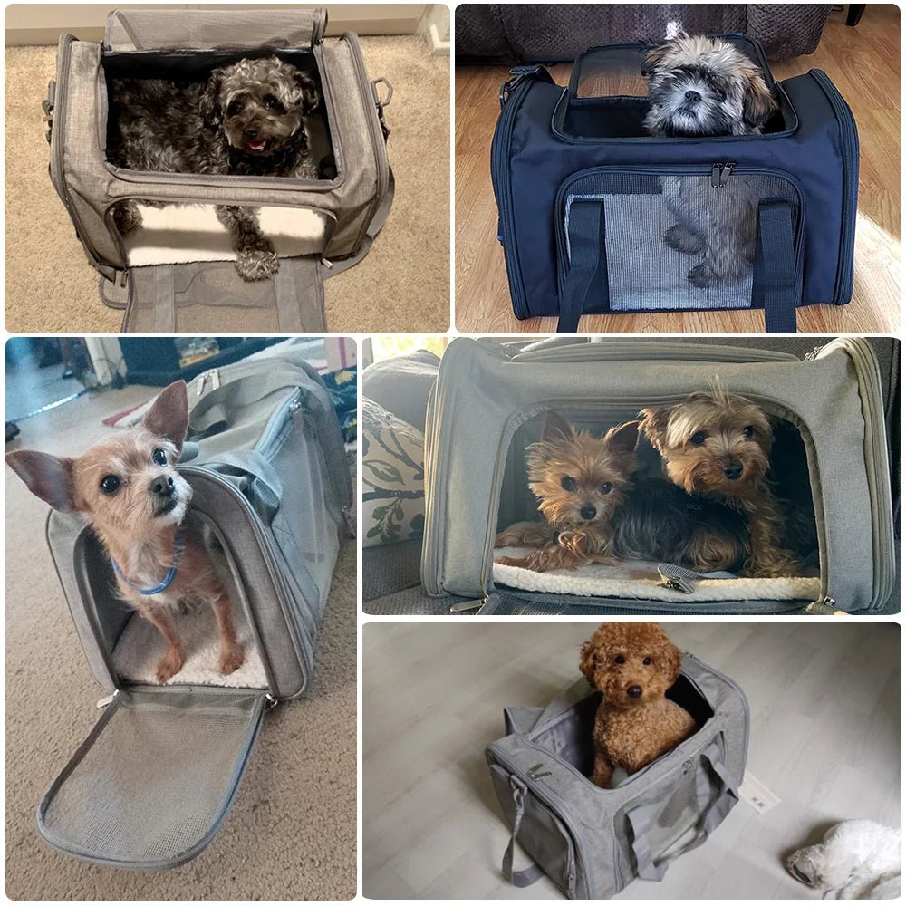 Dog Travel Bags - Valitic Pets