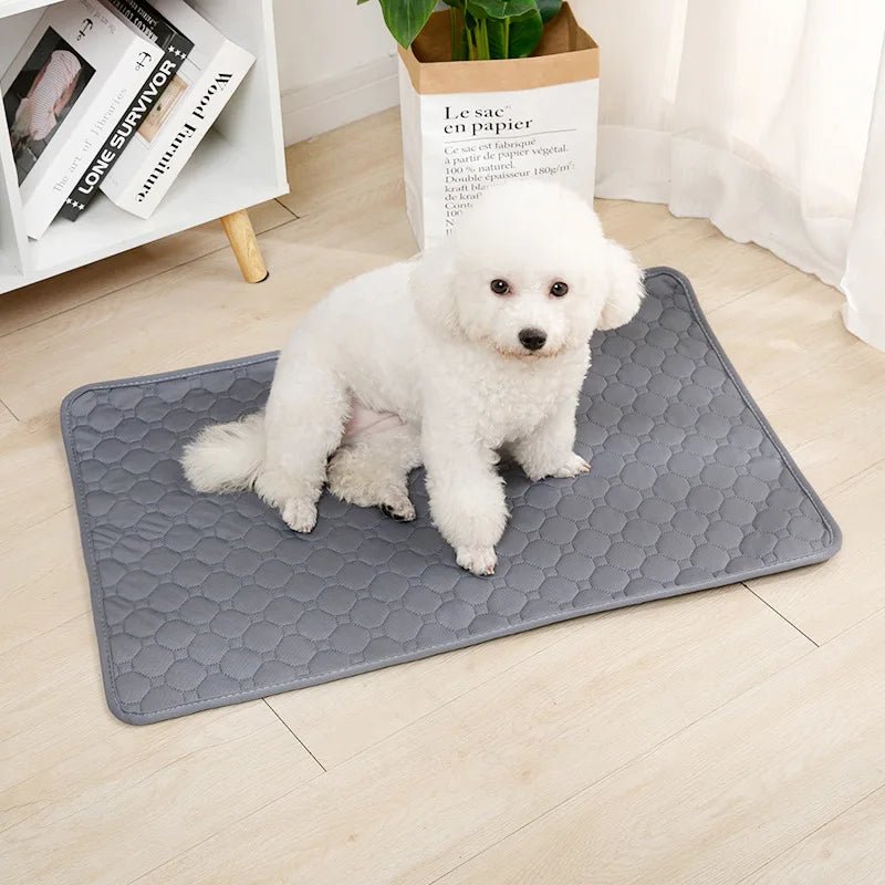 Dog Pee Pad Blanket - Valitic Auto Store